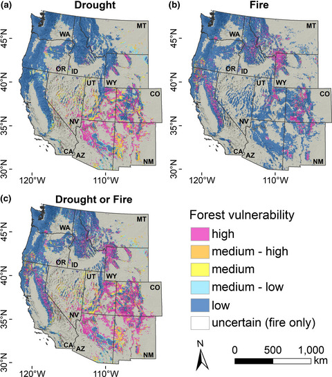Near-future forest vulnerability to drought and fire varies across the western United States
