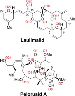 Structural Basis of Microtubule Stabilization by Laulimalide and Peloruside A