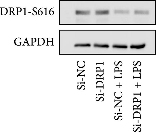 Details are in the caption following the image