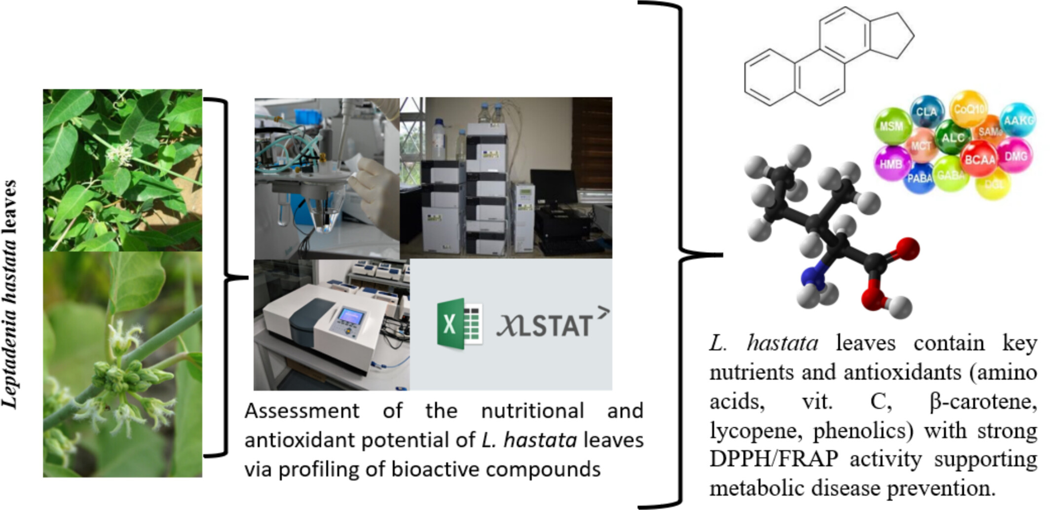 Nutritional Properties and Preventive Potential of Leptadenia hastata (Pers) Decne (Apocynaceae) Against Metabolic Diseases