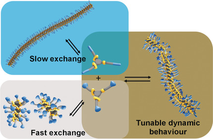 Supramolecular Copolymerization as a Strategy to Control the Stability of Self-Assembled Nanofibers