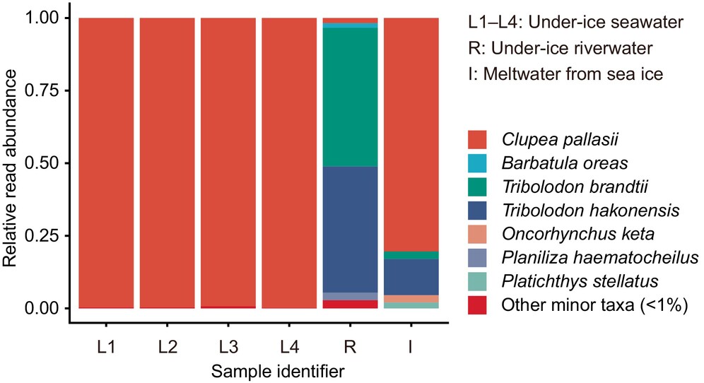 Overwintering Fish Community in Ice-Covered Environments in Hokkaido, Japan, Inferred From Environmental DNA