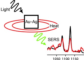 Probing the Photothermal Effect of Gold-Based Nanocages with Surface-Enhanced Raman Scattering (SERS)