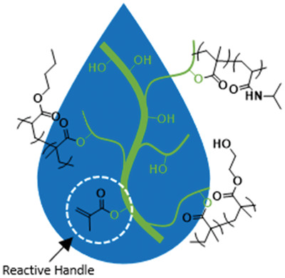 Aqueous Polymer Modification of Cellulose Nanofibrils by Grafting-Through a Reactive Methacrylate Group
