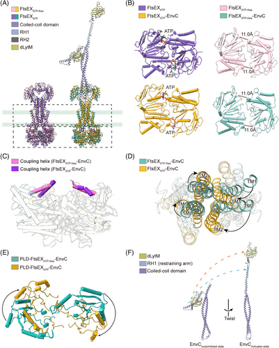Details are in the caption following the image Details are in the caption following the image