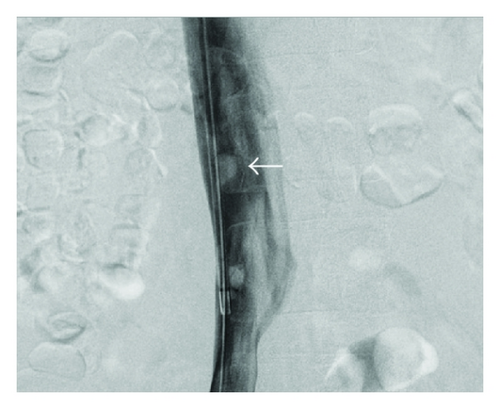 Details are in the caption following the image Details are in the caption following the image