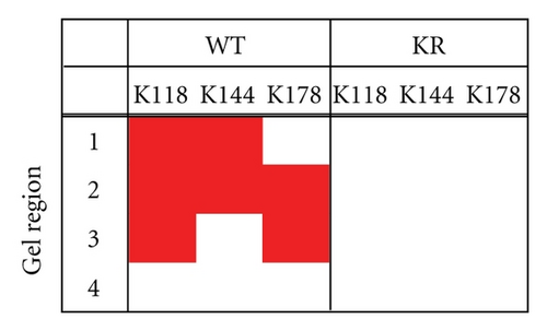 Details are in the caption following the image