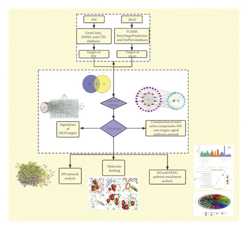 Details are in the caption following the image Details are in the caption following the image