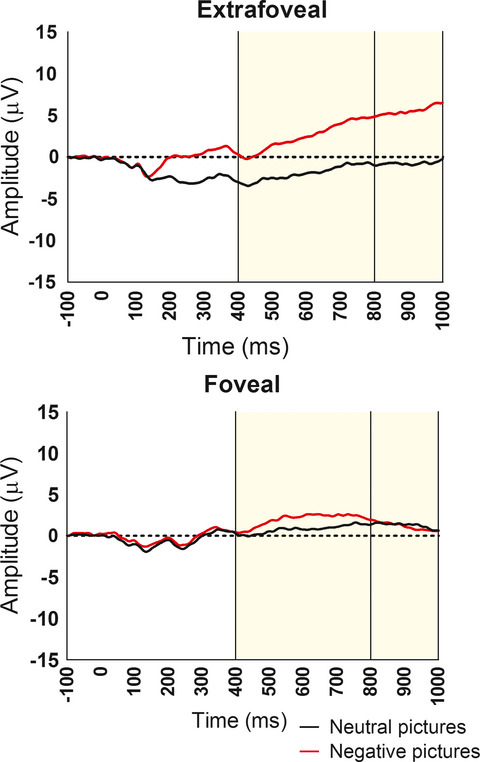 Positive affective priming decreases the middle late positive potential response to negative images