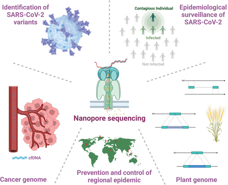 Nanopore sequencing technology and its applications