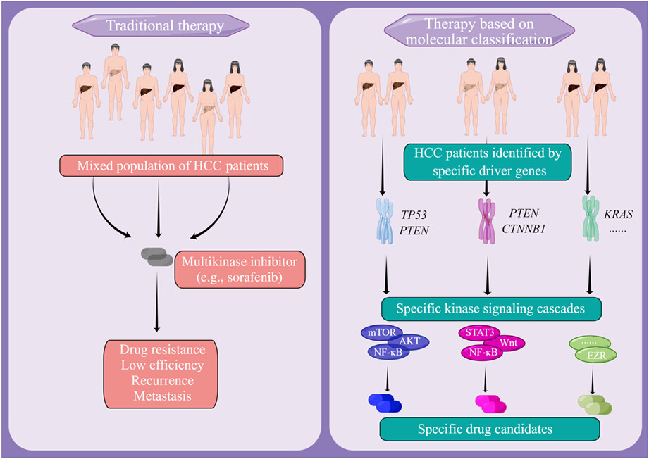 Interactions between driver genes shape the signaling pathway landscape and direct hepatocellular carcinoma therapy