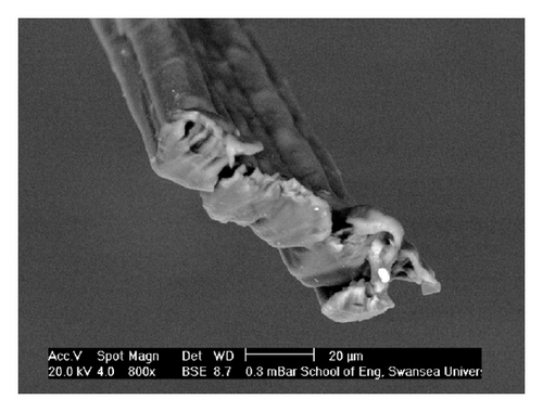Details are in the caption following the image