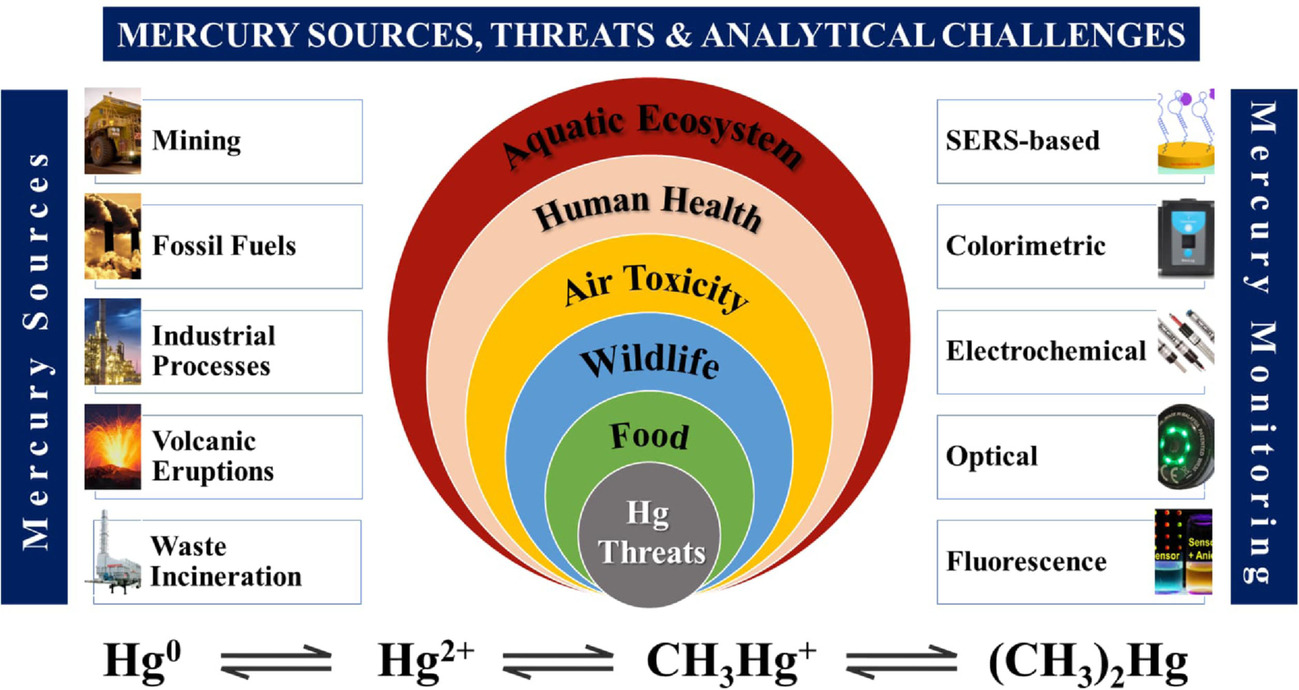 Recent Trends and Future Perspectives of Emergent Analytical Techniques for Mercury Sensing in Aquatic Environments