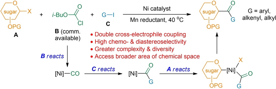 Catalytic Multicomponent Synthesis of C-Acyl Glycosides by Consecutive Cross-Electrophile Couplings
