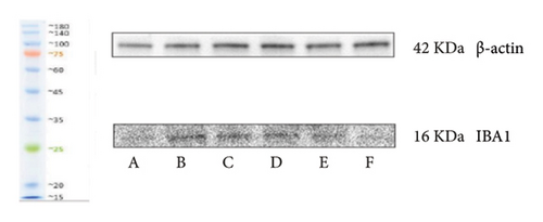 Details are in the caption following the image