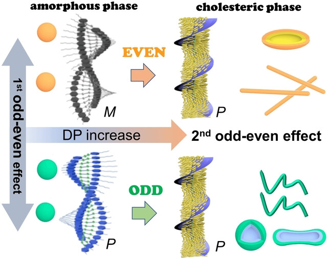 A Subtle Change in the Flexible Achiral Spacer Does Matter in Supramolecular Chirality: Two-Fold Odd-Even Effect in Polymer Assemblies