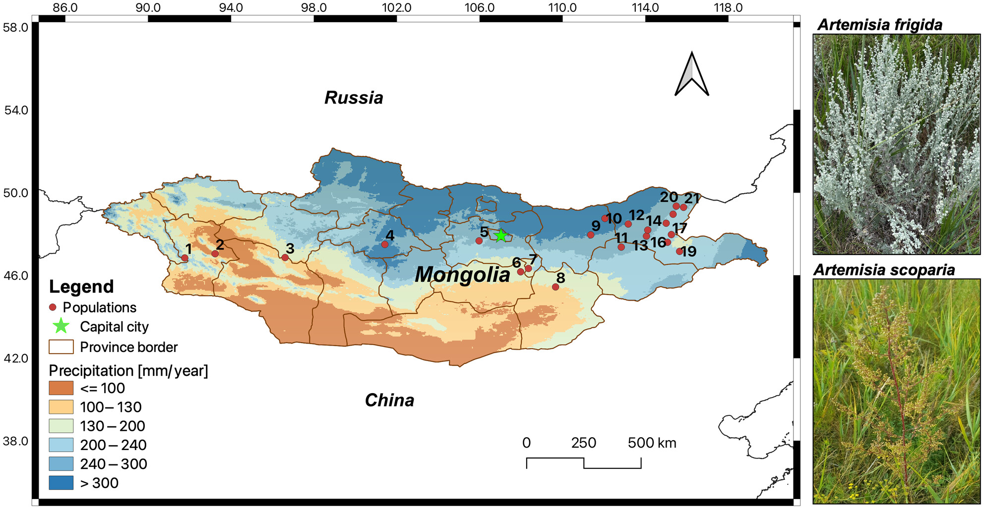 Relationship Between Genetic and Phenotypic Variations in Natural Populations of Perennial and Biennial Sagebrush
