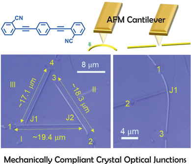 Mechanical Processing of Naturally Bent Organic Crystalline Microoptical Waveguides and Junctions