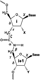Amide Backbones with Conformationally Restricted Furanose Rings: Highly Improved Affinity of the Modified Oligonucleotides for Their RNA Complements