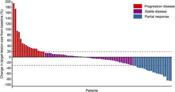 Clinical observation of the efficacy of PD-1/PD-L1 inhibitors in the treatment of patients with advanced solid tumors