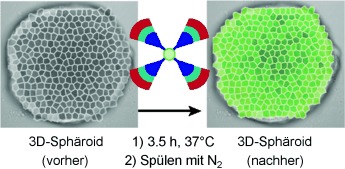 Click-Assembled, Oxygen-Sensing Nanoconjugates for Depth-Resolved, Near-Infrared Imaging in a 3 D Cancer Model