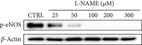 Details are in the caption following the image
