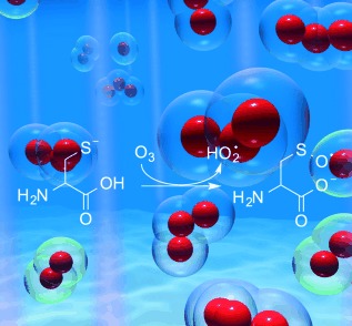 Radical Formation in the Gas-Phase Ozonolysis of Deprotonated Cysteine