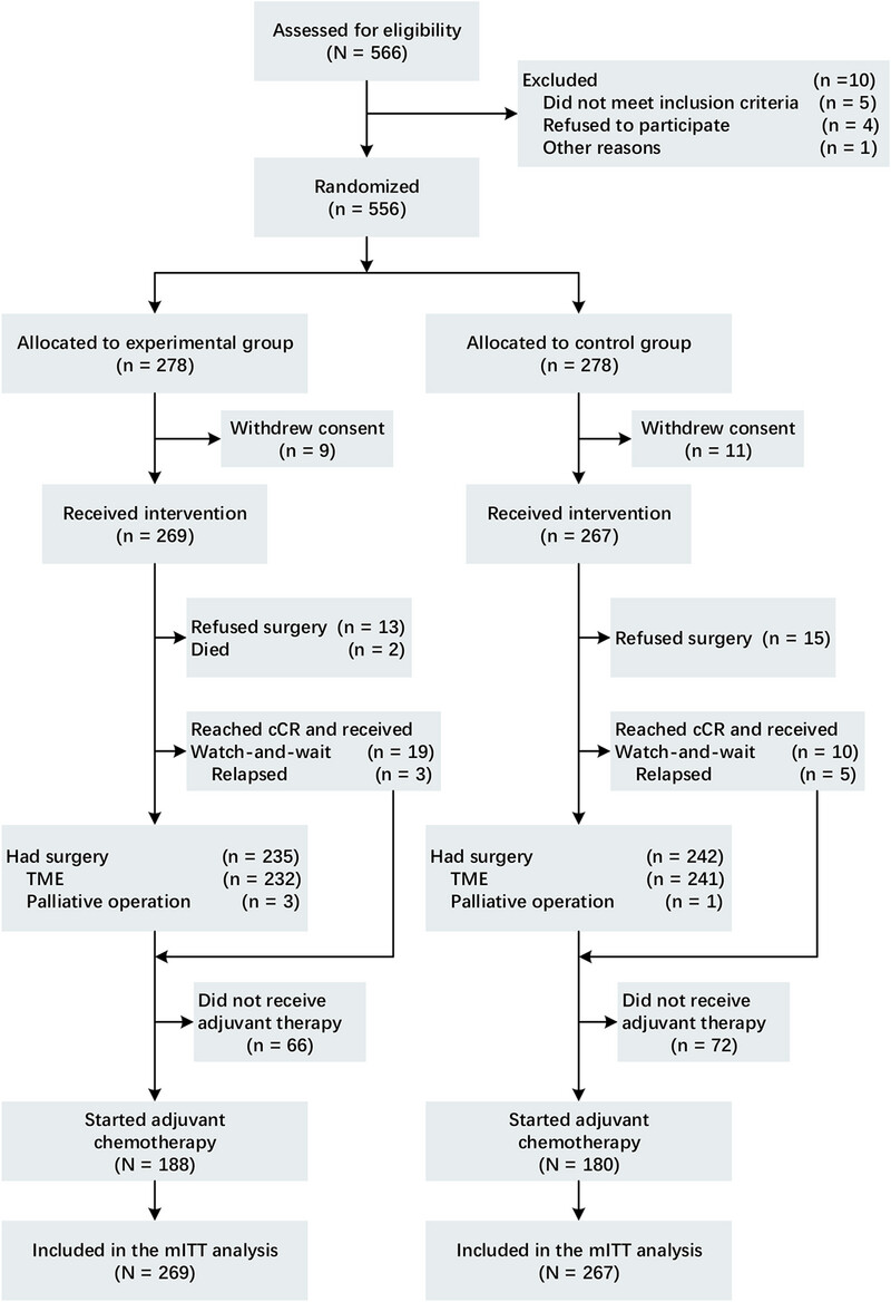 Short-Term Results of the SONCAR Study: Optimized Neoadjuvant Chemoradiotherapy in Locally Advanced Rectal Cancer Patients