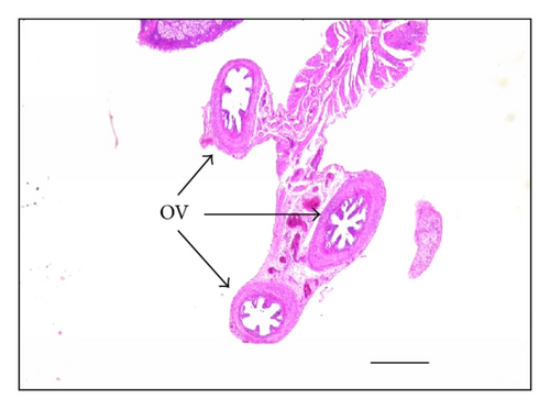 Details are in the caption following the image