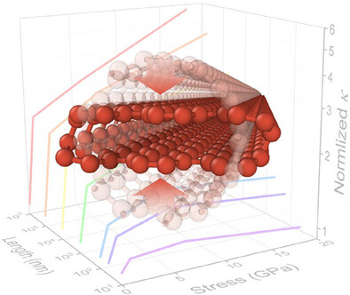 Collapsing Carbon Nanotube Enhances Its Phonon Transport