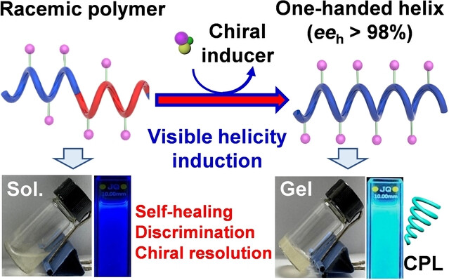 Visible Helicity Induction and Memory in Polyallene toward Circularly Polarized Luminescence, Helicity Discrimination, and Enantiomer Separation