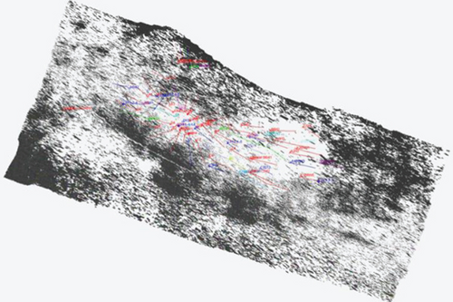 Details are in the caption following the image