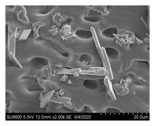 Details are in the caption following the image