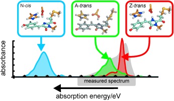 Photoswitching of the Fluorescent Protein asFP595: Mechanism, Proton Pathways, and Absorption Spectra