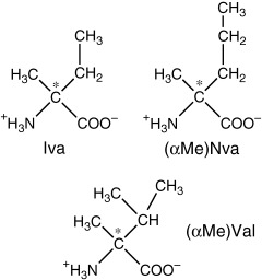 Meteoritic Cα-Methylated α-Amino Acids and the Homochirality of Life: Searching for a Link