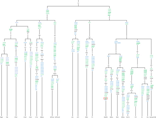 Details are in the caption following the image Details are in the caption following the image