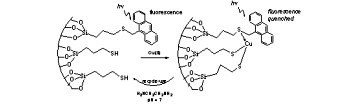 A Recyclable Thiol-Functionalized Mesoporous Silica for Detection and Removal of Cu(II) Ions