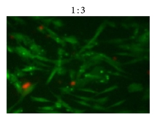 Details are in the caption following the image