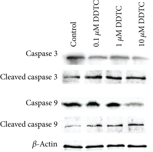 Details are in the caption following the image