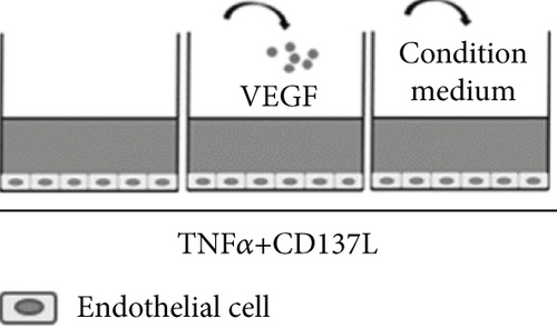 Details are in the caption following the image