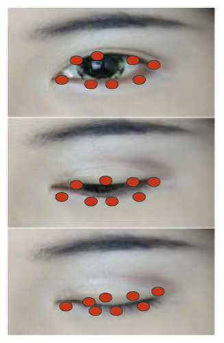 Details are in the caption following the image Details are in the caption following the image