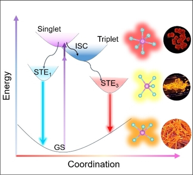 Achieving Near-Unity Red Light Photoluminescence in Antimony Halide Crystals via Polyhedron Regulation