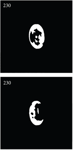 Details are in the caption following the image Details are in the caption following the image