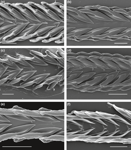Details are in the caption following the image Details are in the caption following the image