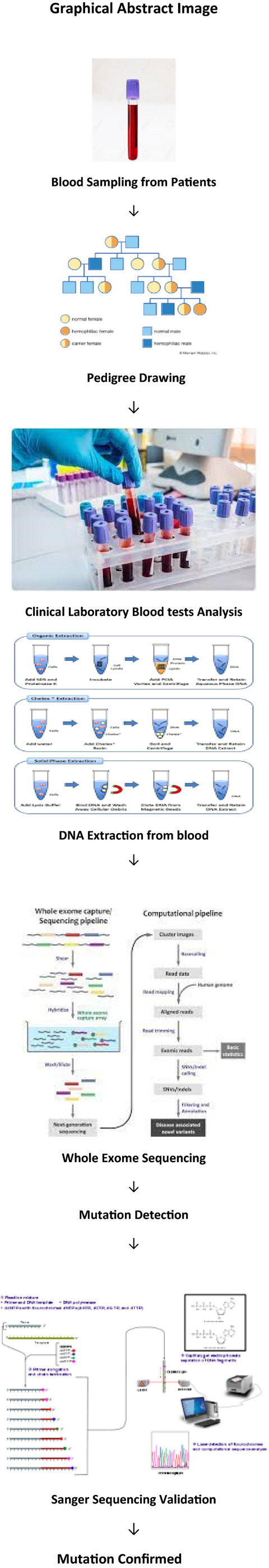Novel splicing-site mutation in DCAF17 gene causing Woodhouse-Sakati syndrome in a large consanguineous family