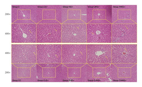 Details are in the caption following the image Details are in the caption following the image
