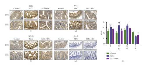 Details are in the caption following the image Details are in the caption following the image