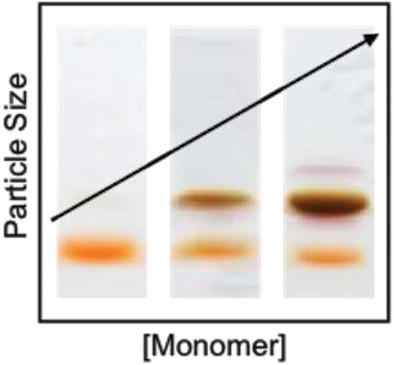 Sequential Growth as a Mechanism of Silver-Glutathione Monolayer-Protected Cluster Formation