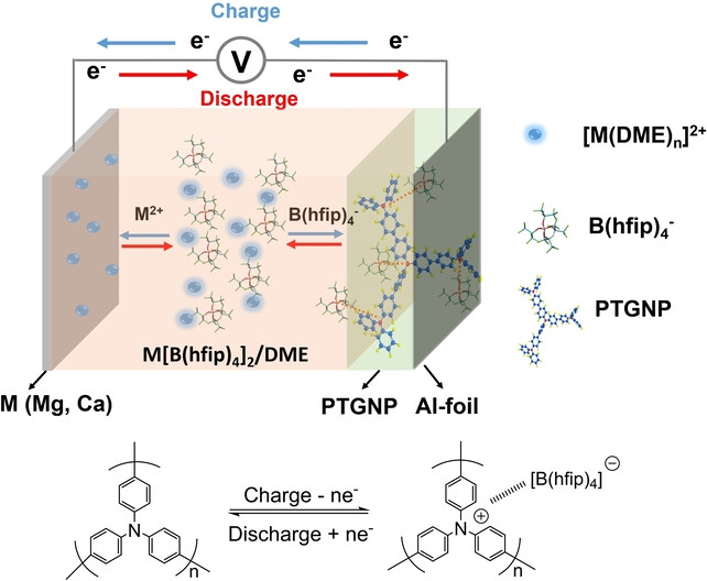 Anionen-Einlagerungschemie organischer Kathoden für zweiwertige Metallbatterien mit hoher Energie und hoher Leistungsdichte