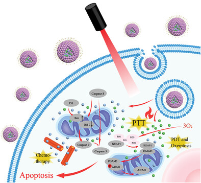 Mitochondria Targeted Nanoparticles Potentiate Tumor Chemo-Phototherapy by Toxic Oxidative Stress Mediated Oxeiptosis
